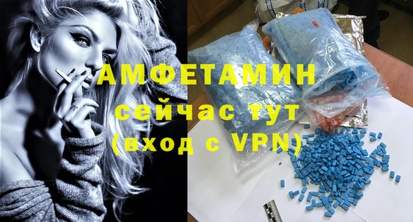 крисы Верхний Тагил