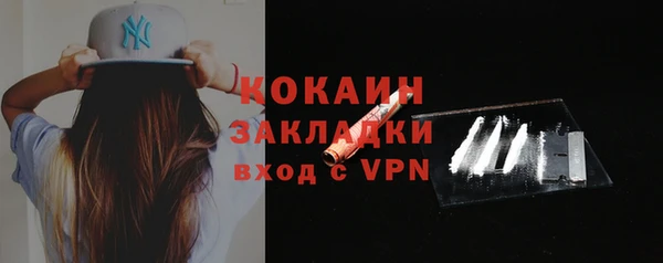 крисы Верхний Тагил
