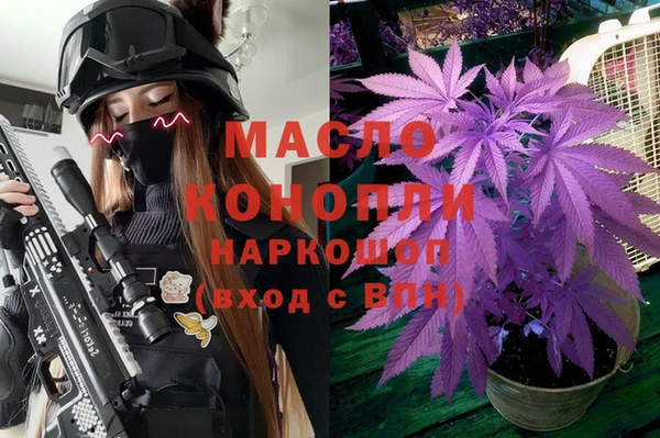 крисы Верхний Тагил