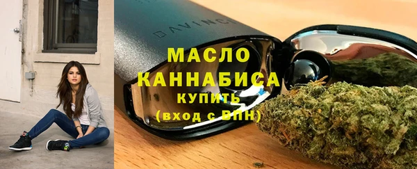 крисы Верхний Тагил