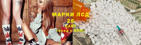 крисы Верхний Тагил