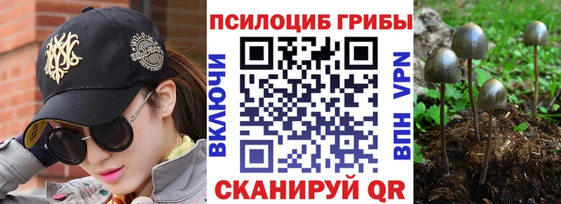 Псилоцибиновые грибы Magic Shrooms Кандалакша